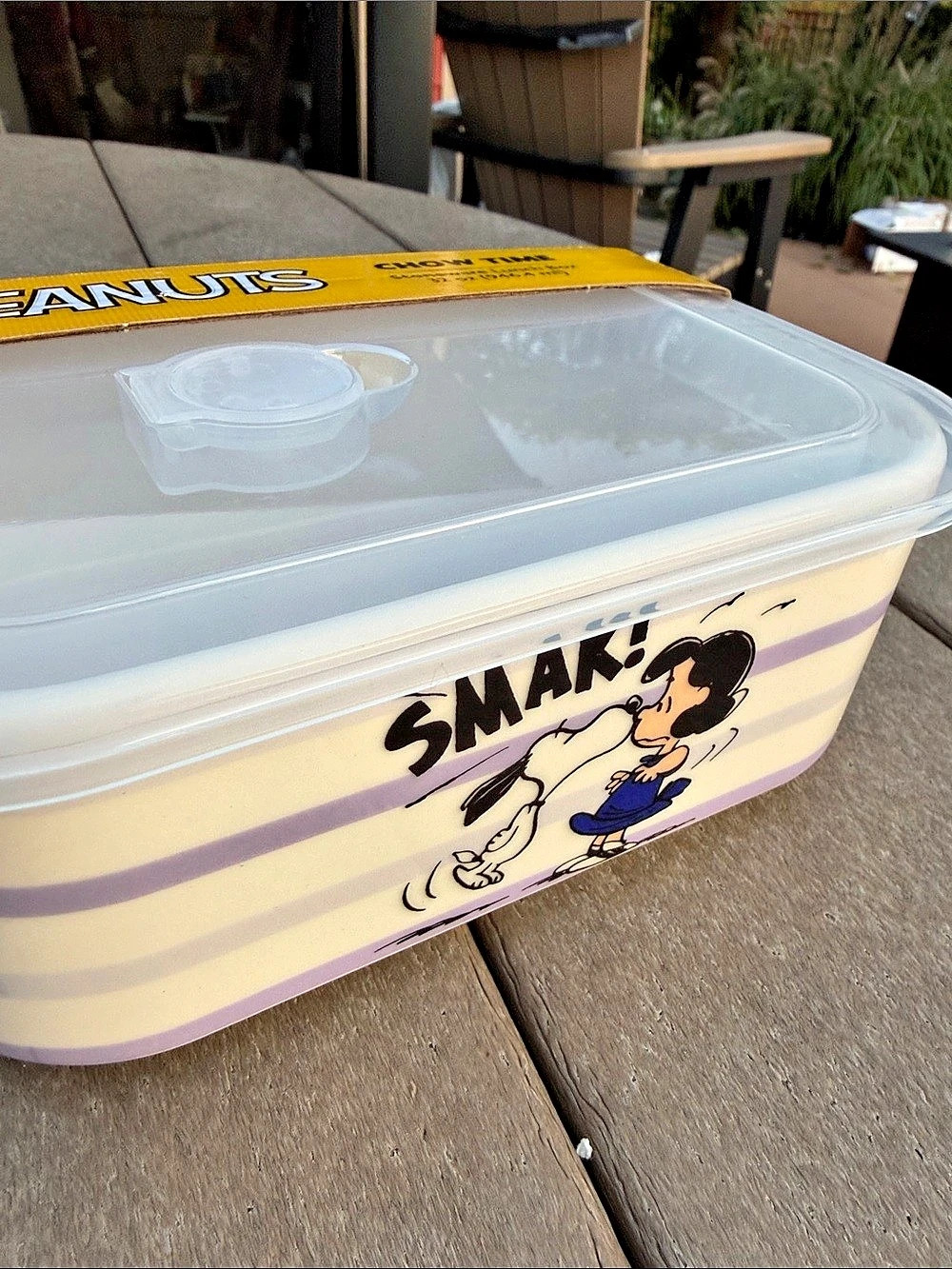 Peanuts Chow Time Stoneware Lunch Box Striped 32 oz Lunch Box NWT